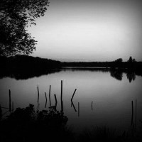 /album/tutto-su-tutto/photolia-b01-jpg/